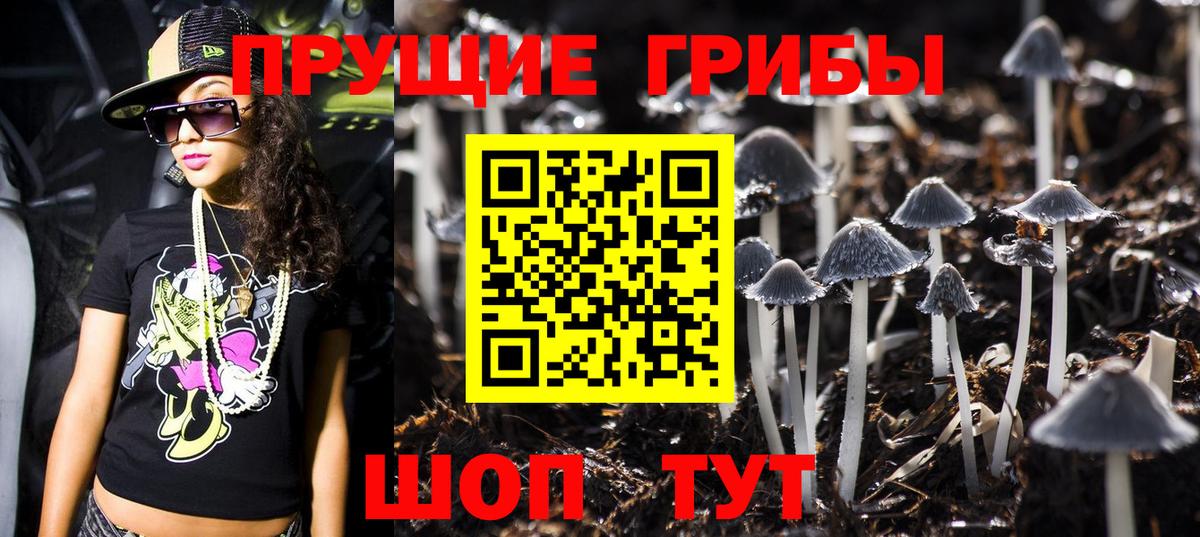 Псилоцибиновые грибы мухоморы Протвино